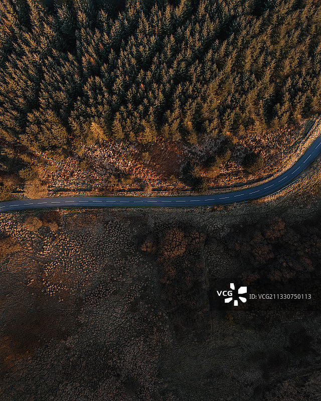 鸟瞰图的道路在森林中的树木，斯托克希尔伍德，英国，英国图片素材