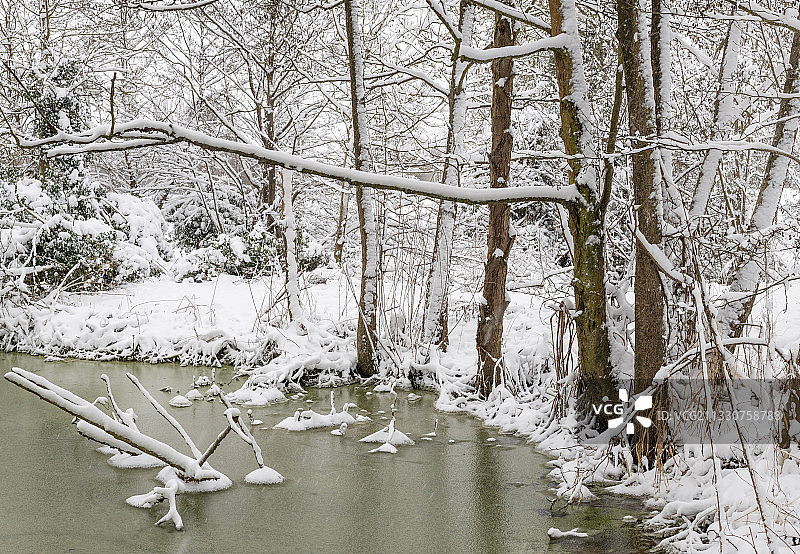 伊普斯维奇，英国，冬天结冰的湖图片素材