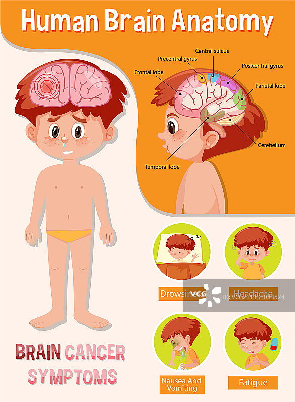 信息海报人类大脑图图片素材