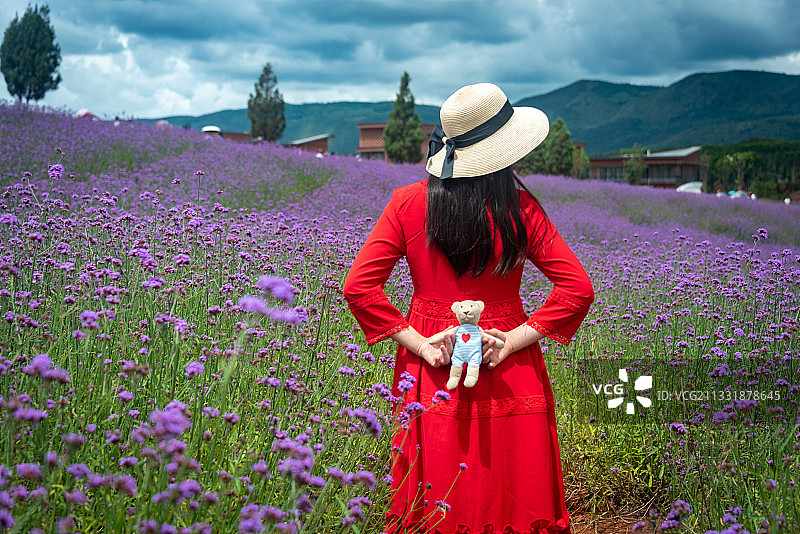 红衣女孩行走在紫色花海里，山坡绿树和白云，浪漫悠闲的度假时光图片素材