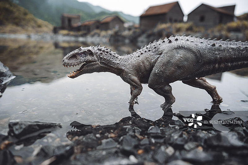 侏罗纪公园河边乱石堆沙滩食肉恐龙暴虐龙迅猛龙图片素材