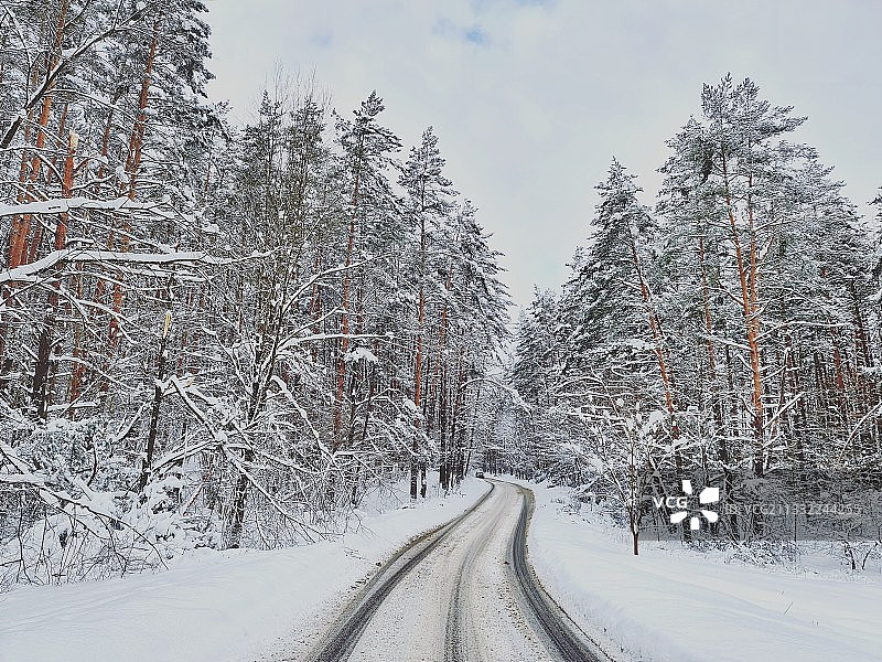 立陶宛的冬天，空无一人的道路，树木与天空相映成辉图片素材