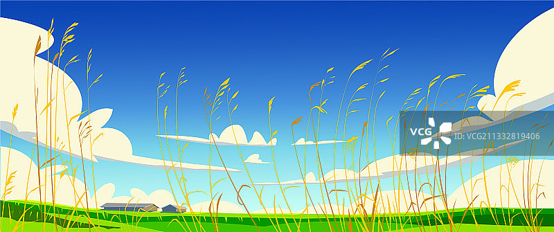 夏日，高草在田野，云在图片素材