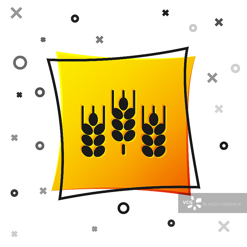 黑色谷物配水稻、小麦、玉米、燕麦图片素材