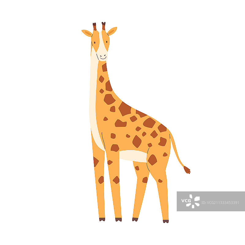 可爱的小长颈鹿孤立在白色的背景图片素材