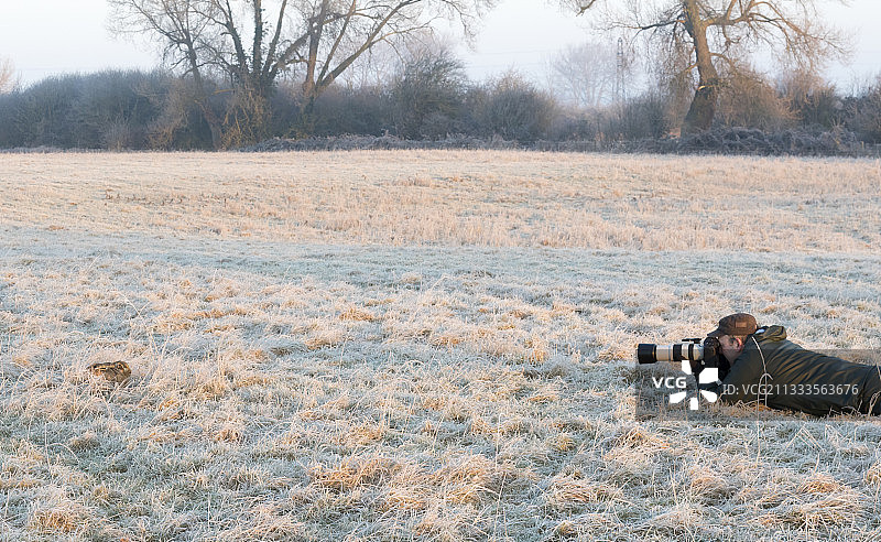 兔子和摄影师在冰冻的草地上，阿斯顿克林顿，英国，冬天图片素材