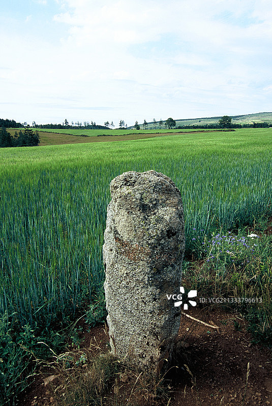 Menhir和麦田在夏季洛泽尔法国图片素材