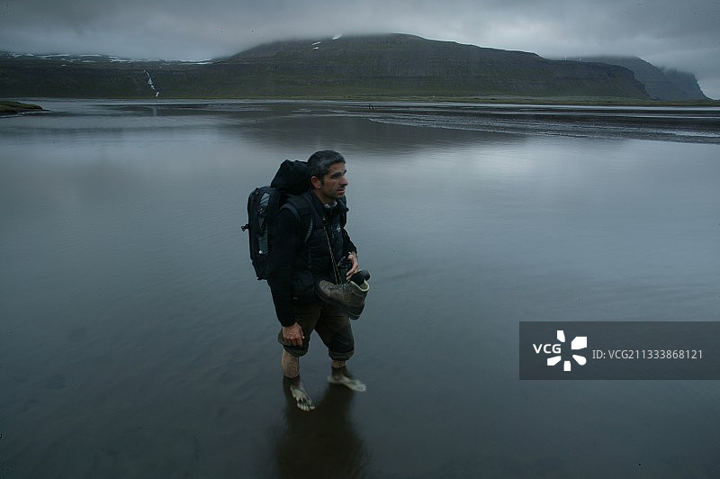 埃尔文·巴兰卡摄影师报道冰岛的北极狐图片素材