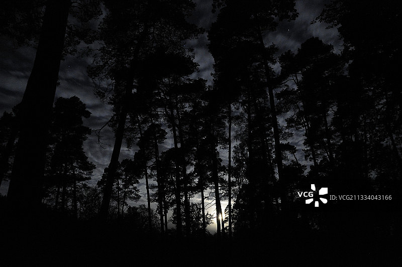 一个月圆之夜的秋天森林在法国孚日图片素材