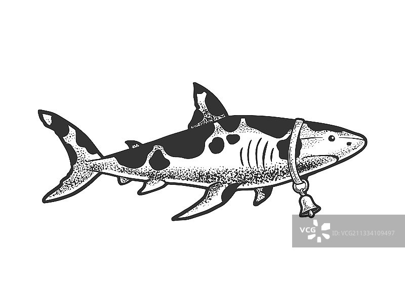 鲨鱼牛动物素描图片素材