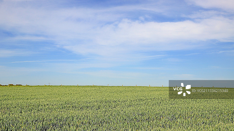 西班牙萨拉曼卡Tabera de Abajo的天空映衬下的农田风景图片素材