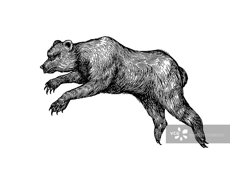 洞穴熊灭绝的棕色动物复古复古图片素材