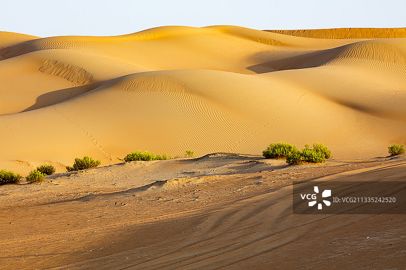 晴朗天空下的沙漠风景，里瓦，阿布扎比，阿拉伯联合酋长国图片素材