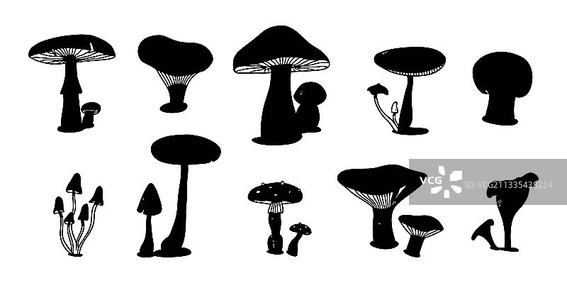 蘑菇剪影设各种蘑菇手图片素材