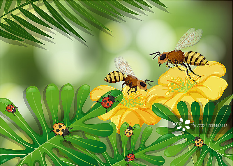 近距离观察有许多蜜蜂的花叶场景图片素材