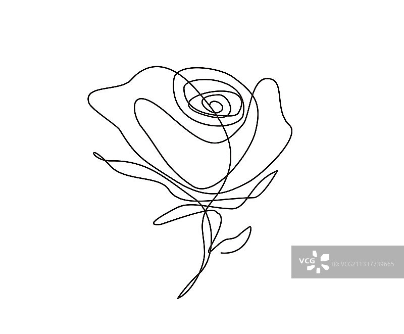 连续线条画玫瑰花极简图片素材
