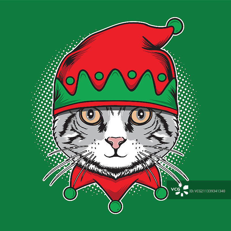 小猫圣诞节用可爱的小精灵帽子图片素材