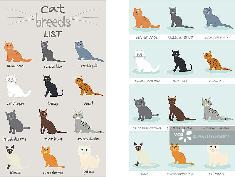 群可爱的猫品种列表卡通动物图片素材
