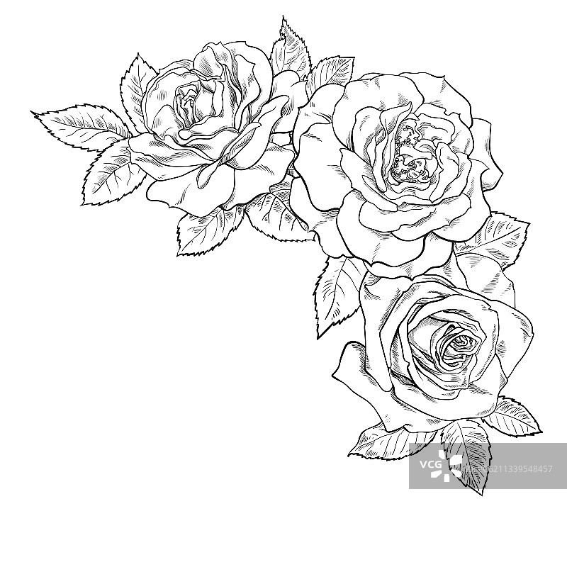 黑色和白色花束玫瑰装饰手图片素材