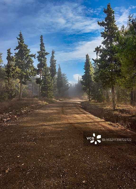希腊塞萨洛尼基，天空中树木的空旷道路图片素材