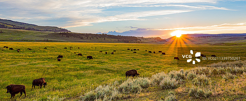 美丽的牧场，拉马尔河，怀俄明州，美国，美国图片素材