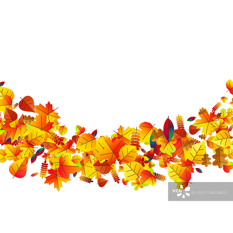 秋天的树叶散落在橡树和枫树的背景下图片素材