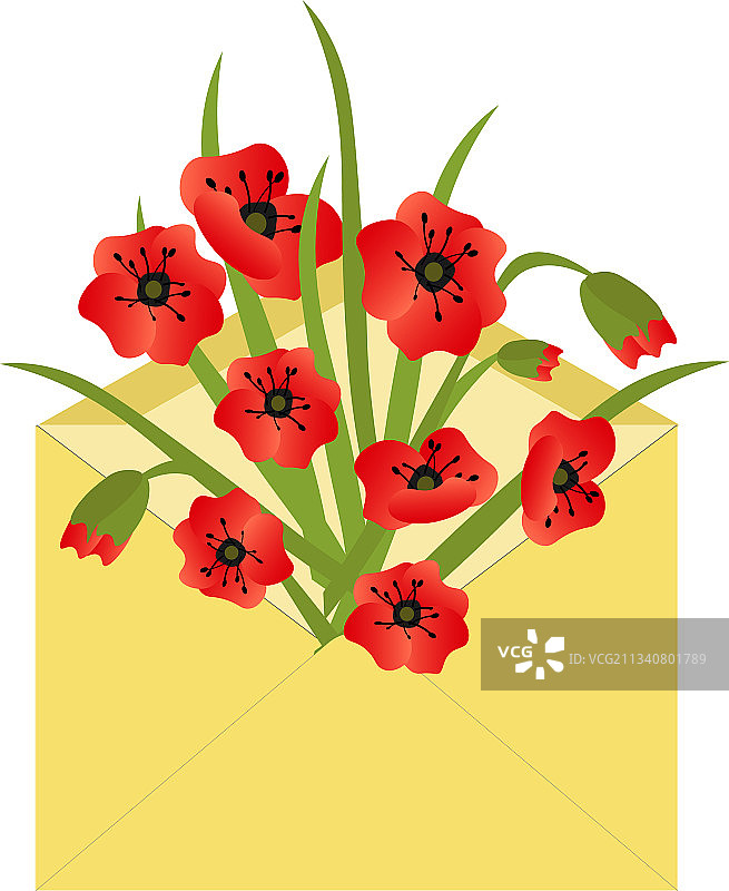黄色信封里有红罂粟花，还有一束图片素材