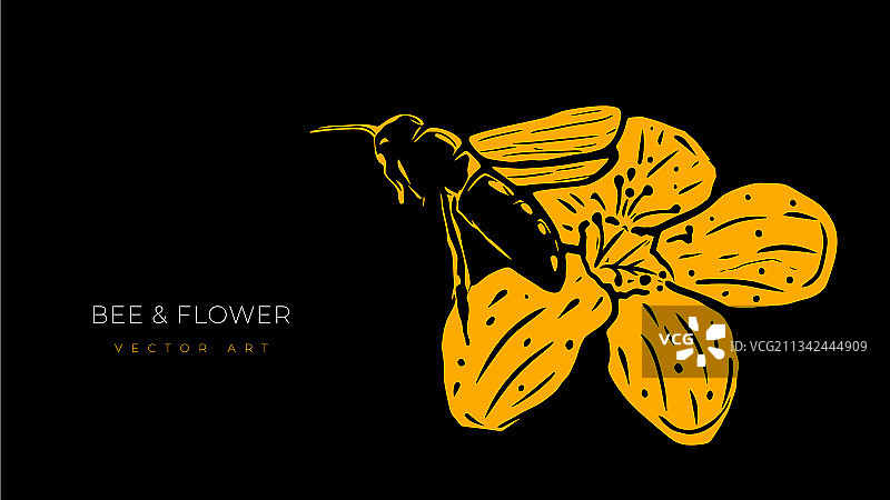 飞翔的蜜蜂和花朵孤立在黑色上图片素材