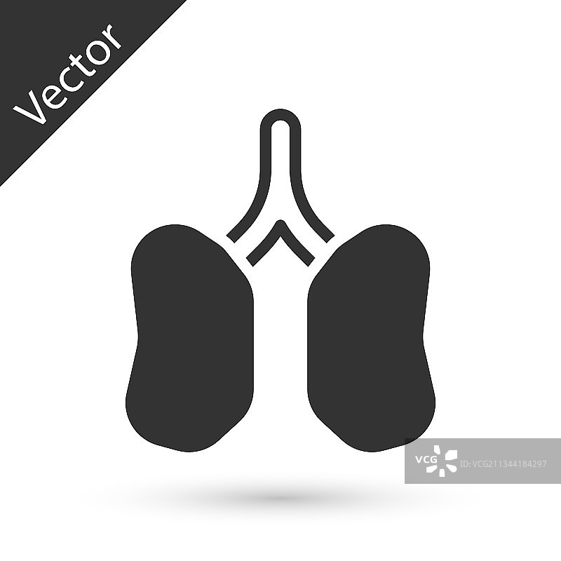 灰色肺图标隔离在白色的背景图片素材