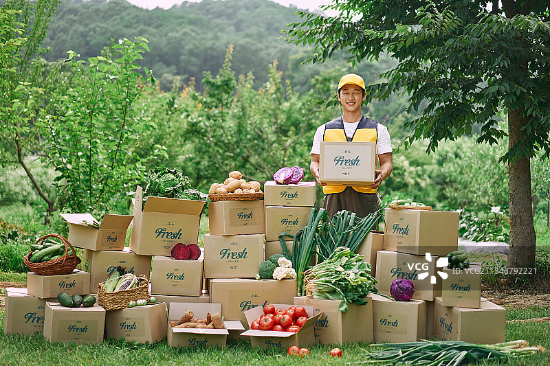 采购产品送货，冷藏送货，购物，盒子，包装，蔬菜，直接送货图片素材