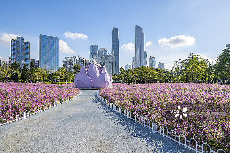 公园里的鲜花和珠江新城天际线图片素材