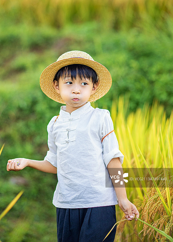 身穿白色上衣戴草帽的小男孩背着小背篓在秋天的稻田里玩耍图片素材