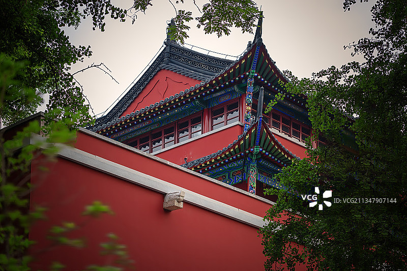 绿树掩映下的宫墙+鼓楼（南京）图片素材