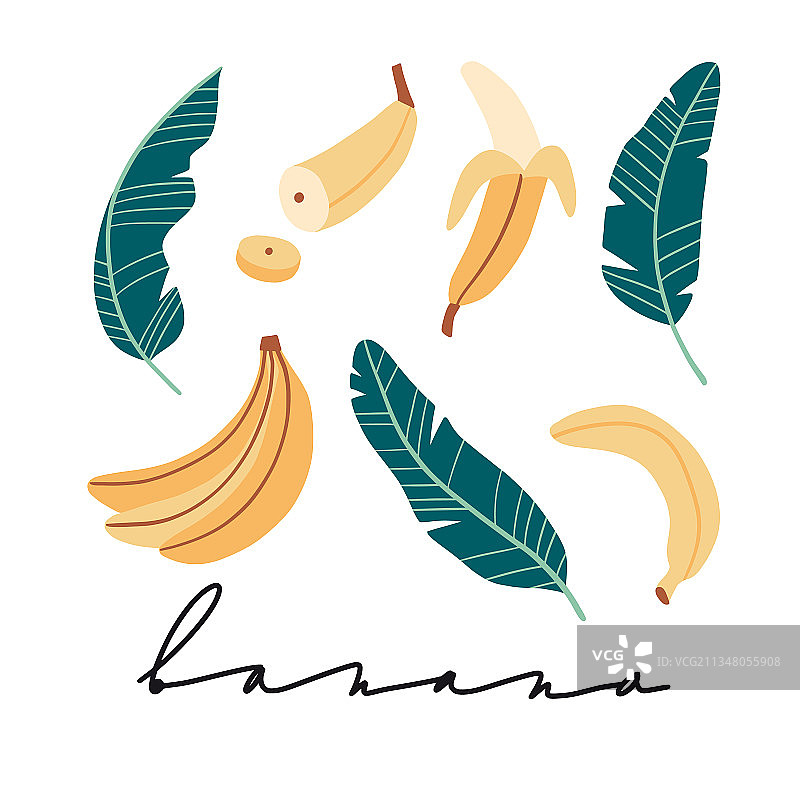 香蕉集手绘抽象热带平面图片素材