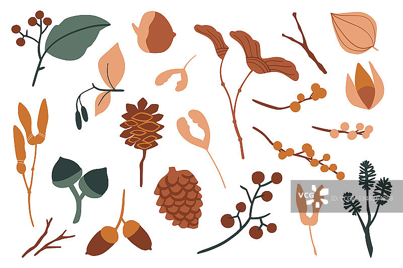 集平面花卉元素简单的秋天图片素材