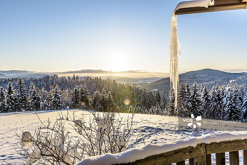白雪覆盖的冬季景观与针叶林在日出，希梅堡，卡林西亚，奥地利图片素材