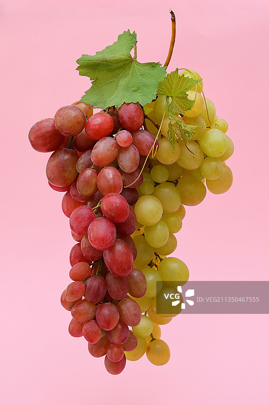 葡萄在粉红色背景下的特写图片素材