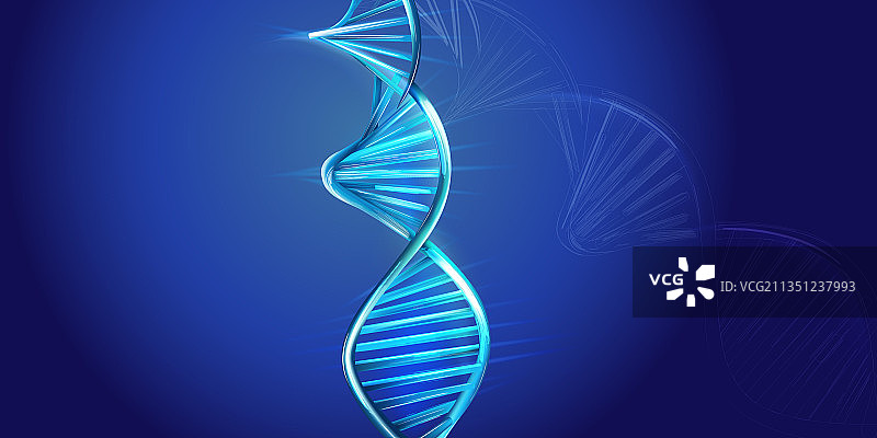 蓝色背景上的DNA螺旋模型图片素材