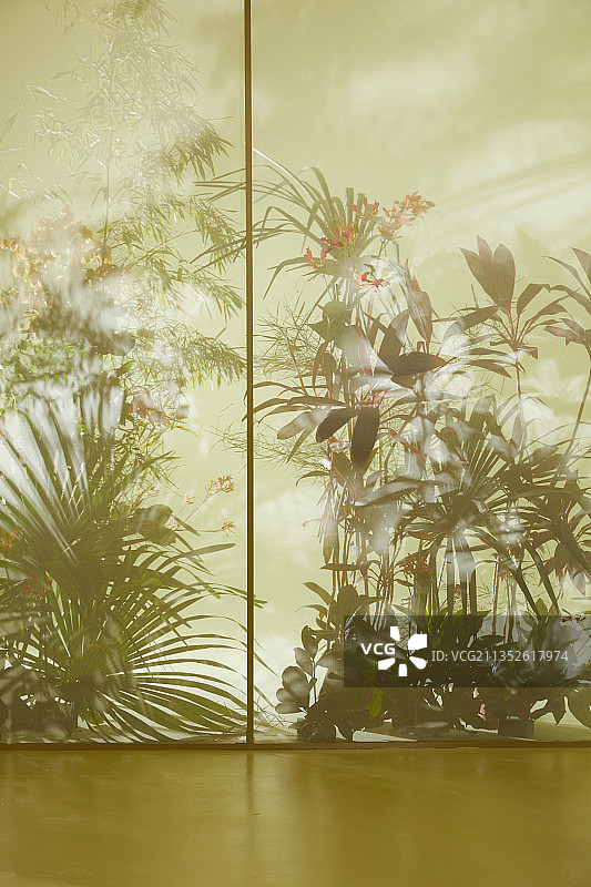 中式植物屏风场景图片素材