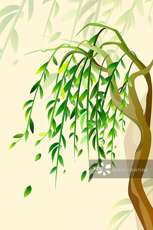 简约国风植物柳树图片素材