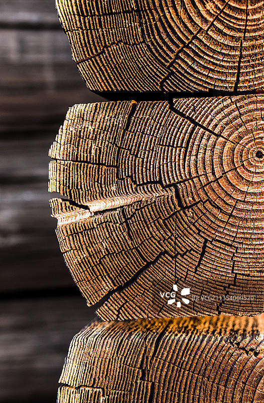 堆叠木材的特写，Wilgartswiesen，德国图片素材
