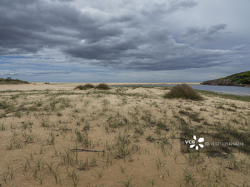 有沙丘草的沙滩海岸线图片素材