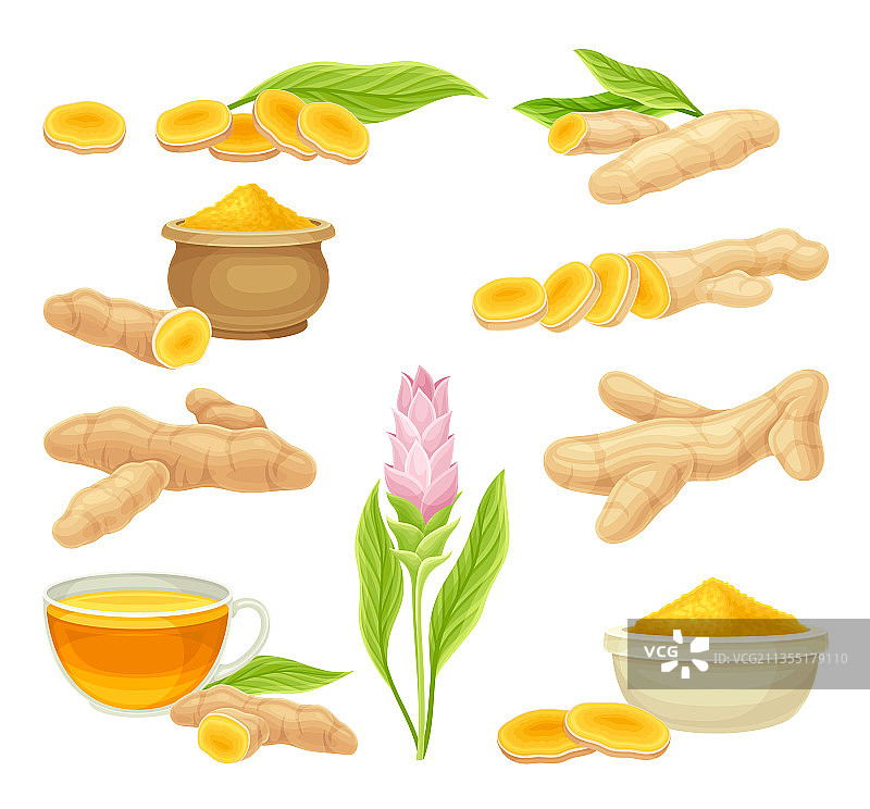 姜黄或姜黄的根茎和开花图片素材