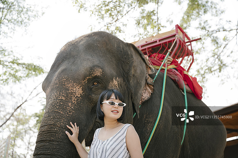 生态旅游-戴着太阳镜的美女抚摸并拥抱大象。图片素材