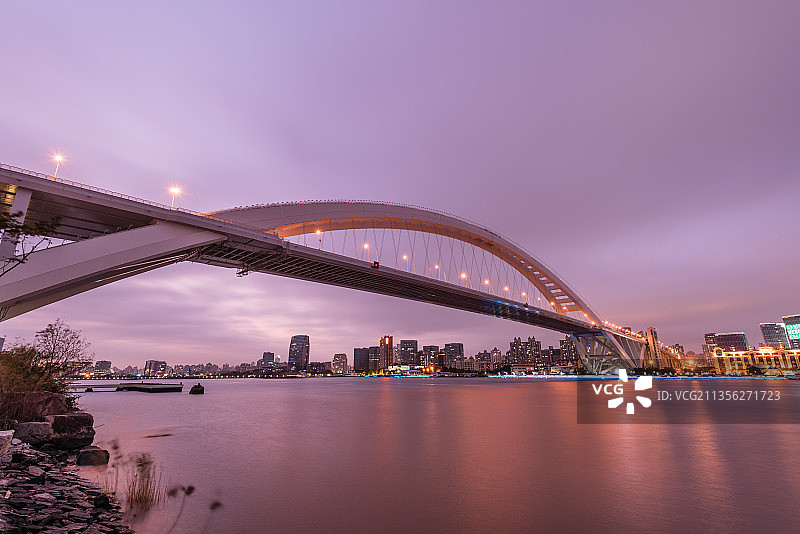 中国上海黄浦江畔的卢浦大桥建筑夜景图片素材