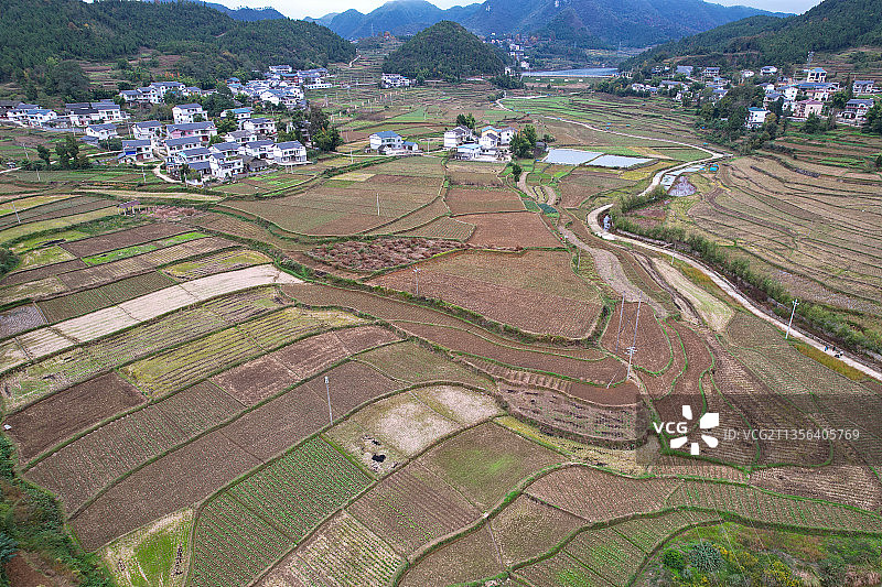 贵州省遵义市汇川区团泽镇蔬菜种植基地及其周边的农舍图片素材