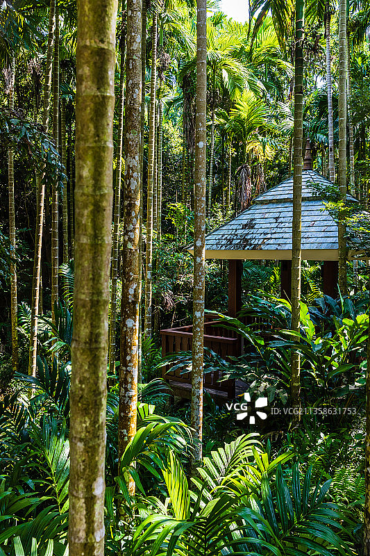 海南三亚亚龙湾热带天堂森林公园图片素材