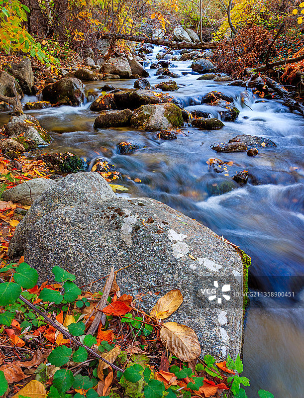 希腊，Agios Germanos，秋天溪流流经森林岩石的景色图片素材