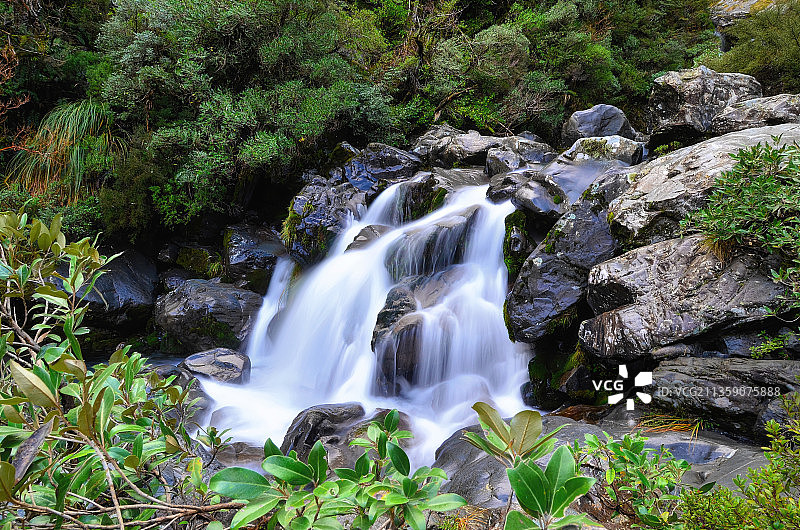 新西兰森林瀑布的风景图片素材