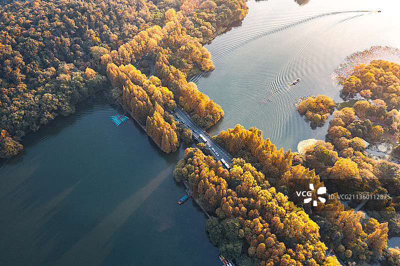 杭州西湖杨公堤秋天航拍图片素材